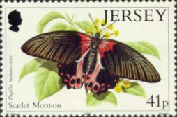 Scarlet Mormon