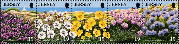 Jersey flowers