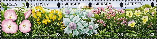 Jersey flowers